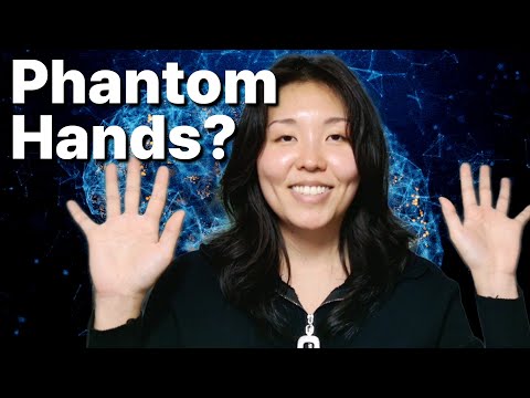 Surprise: Your Brain's Body Map Doesn't Move After Amputation