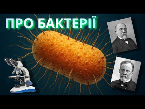 Цікаві факти про бактерії🦠 #цікавіфакти #кох #бактерії #віруси #бактеріологія #пастер
