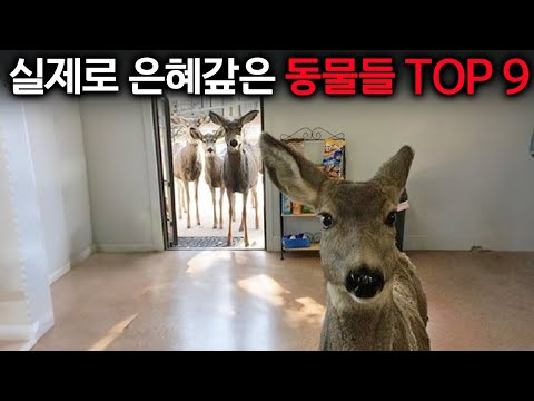 얘들아! 이 아저씨 착해ㅋㅋ