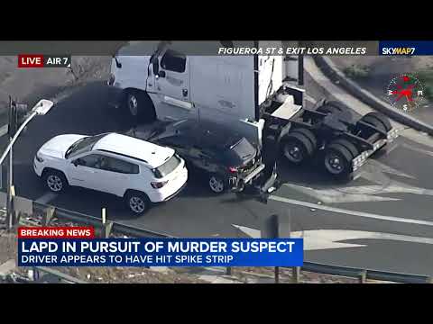 FULL CHASE: LAPD chase alleged murder suspect through South Los Angeles
