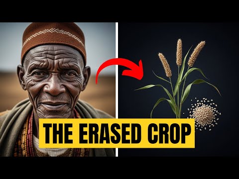 This African Crop Threatened the Food Industry — Why Was It Erased?