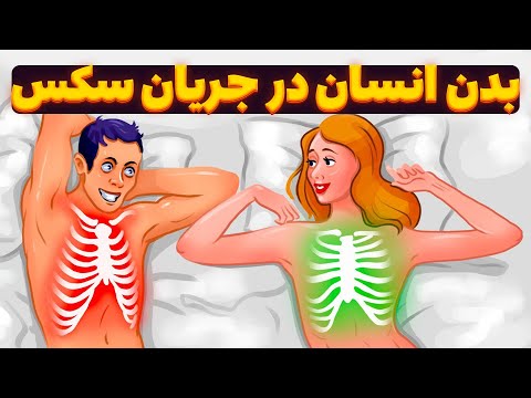 سکس و بدن انسان - تغییرات باور نکردنی بدن در جریان سکس