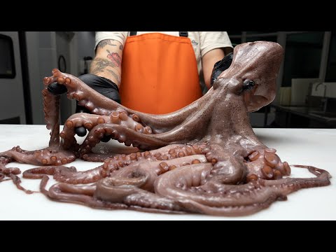 Why You Shouldn’t Be Afraid Of Octopus
