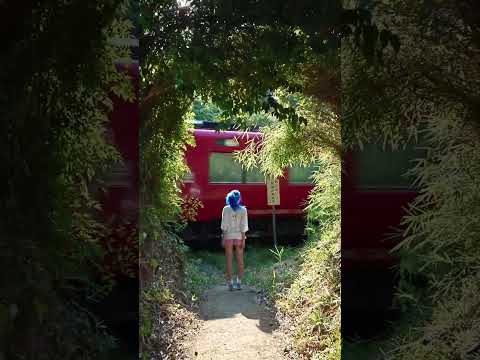 Found a Ghibli-Like path IRL #aesthetic #ghibli #japan