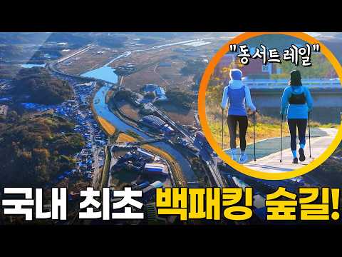 자연과 역사를 느끼다! 충남 홍성의 진산, 백월산 [영상앨범 산] KBS 251214 방송