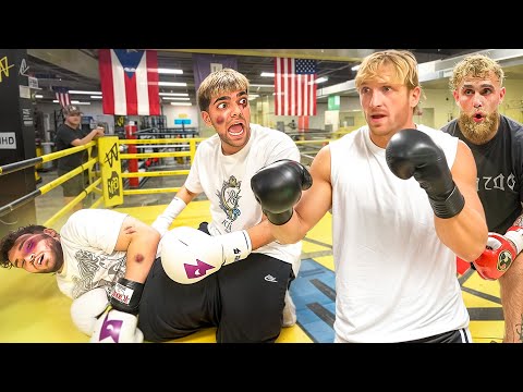 We Boxed Logan Paul & Jake Paul… 