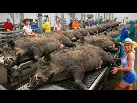 Inside the Pork Leather Factory | How Pig Leather Is Processed Step-by-Step (Full Process)