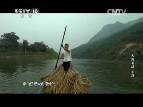 《天赐普洱》 茶路