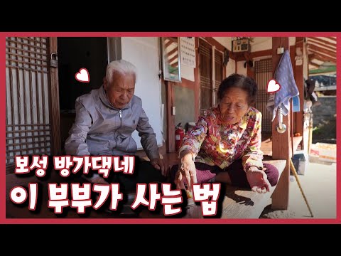 [남도지오그래피] 이 부부가 사는 법, 보성 방가댁네｜KBS 221024 방송