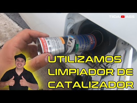 Catalytic converter cleaner