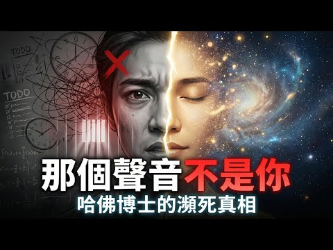 其實「你」根本不存在！哈佛腦科學家切斷左腦後，震驚發現：那個聲音正在殺死你 | 吉爾泰勒 | 左腦與右腦 | 開悟 | 90秒法則 | 冥想 | 潛意識 | 焦慮緩解 | 活在當下 | 靈性覺醒