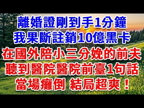 離婚證剛到手1分鐘，我果斷註銷10億黑卡，正在國外陪小三分娩的前夫，聽到醫院收營員的一句話，當場癱倒 結局超爽！#詩涵講故事#為人處世#生活經驗#情感故事#晚年哲理#說故事#完結文#原創故事