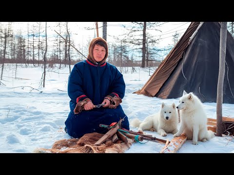 How The Nenets Survive -70°F With Skills You've Never Seen