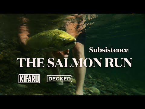 Chasing the Biggest Chinook on the West Coast | SUBSISTENCE