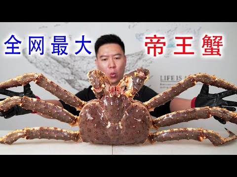 The largest king crab that weighs 7.5 kg, you will get full by eating one leg of it!