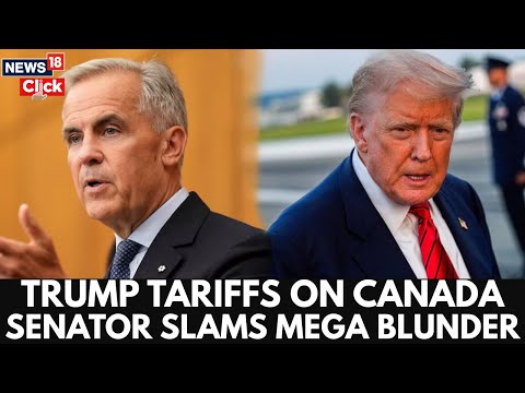 Trump Tariffs On Canada | Senator Peter Welch Slams ‘Mega Blunder’ | Trump Latest News | N18G