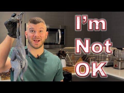 The Most UNEXPECTED Chicken Moment Ever!