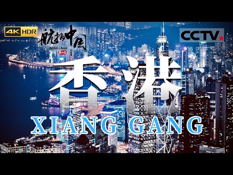 维多利亚港湾上演属于夜晚的浪漫！跑马场让人惊心动魄！身处庙街你就是香港电影中的“主角”《航拍中国》第四季 EP05 Aerial China Ⅳ（4K）【CCTV纪录】