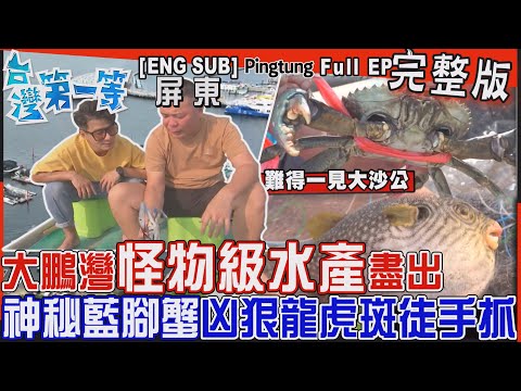 [全新] 屏東【大鵬灣「怪物級水產」超大石斑、神秘藍腳蟹、野生沙公、凶狠龍虎斑"徒手抓"！/東港限定！華僑市場 銅板早餐"腸子三兄弟+肉丸+肉粿銅" 】│2023.12.10│《台灣第一等》完整版