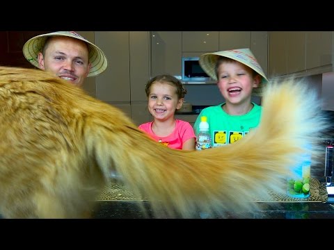 Katy and Max try Food from Korea