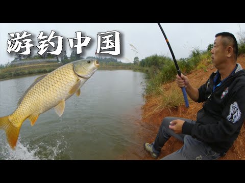 最新！未經開發的野生魚塘，老師傅展現高超垂釣技術，出手就釣上數百斤的大魚！|《游釣中國》National tourism fishing EP36