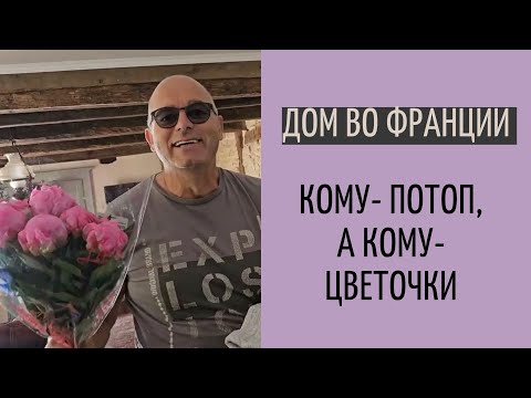 Дом во Франции #36 | реакция детей на стихийное бедствие| сушим стены