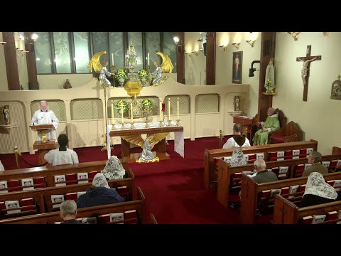 Daily Readings and Homily - 2025-10-29 - Fr. Joseph