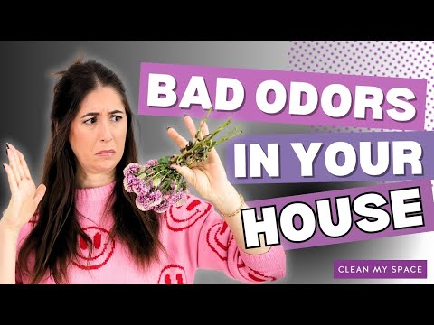 Why Your House SMELLS BAD and How To FIX IT!