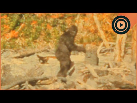 Why Bigfoot Isn't a Myth: A Physicist's Perspective