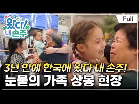 [Full] 왔다! 내 손주 - 영국 손주 대구 상륙! 릴리X로리스의 여름은 아름다워(1)