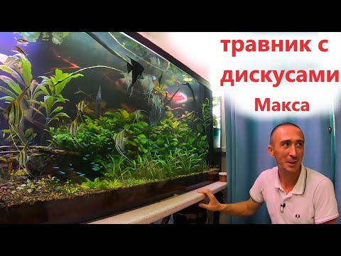 Травный аквариум с дискусами на 1500л у Макса в Самаре