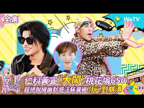 【FULL全集】仁科黃宣“大鬧”桃花塢650 超絕脫線幽默感汪蘇瀧被“玩”到崩潰 | 團建不能停 | WeTV綜藝經典