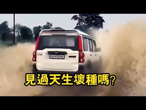 Some people are born bad!