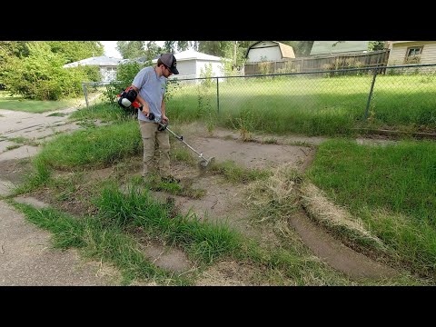 I RANDOMLY Knocked on this Door and Gave this Lawn a FREE Makeover