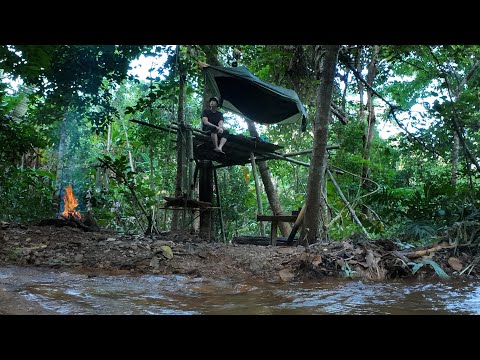 7วัน6คืน! ใช้ชีวิตอยู่ป่าคนเดียวสร้างที่พัก ทำกับดักหาอาหารในป่าดิบฝน..!