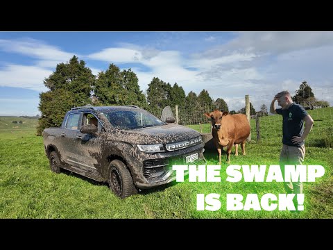 Riddara RD6: Can this FULLY ELECTRIC ute handle what the BYD Shark 6 CONQUERED??