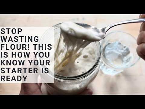 4 Easy Ways to KNOW your Sourdough Starter is Ready to Bake and we'll make Dough and Sandwich Bread!