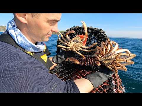 Fresh Seafood - BIG Crab Catch, Clean and Cook - Homemade Red Pepper Crab Cakes | The Fish Locker