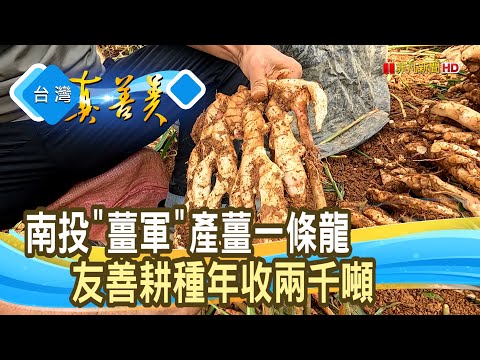 “薑軍大王”扭轉“薑局”｜頂發薑先生｜【台灣真善美】2024.10.27