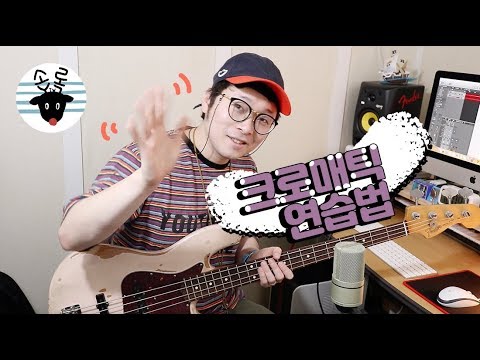 베이스기타 기초 기본 밤새도록 크로매틱(Chromatic) 연습법 -손록손록tv-