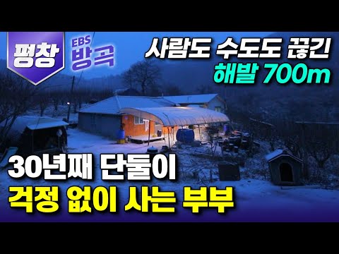 [강원 평창] "여기는 소 밥 주는 거 말고 할 일 없어" 아무도 없는 해발 700m 오지 '돈너미'에서 30년째 근심 없이 사는 노부부┃#한국기행 #방방곡곡