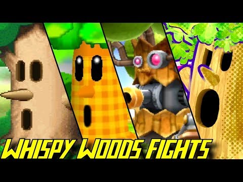 Evolution of Whispy Woods Battles (1992-2018)
