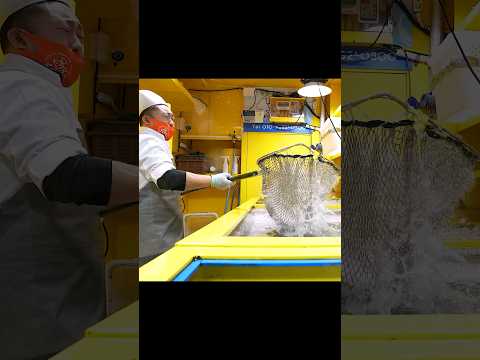 싱싱한 물고기로 회와 스시를 만들어주는 역대급 수산횟집ㅣkorean Korean style sushi and raw fish sashimi #shorts