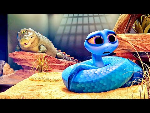 Tired of Being Caged Like Monsters… These Reptiles Want Freedom!