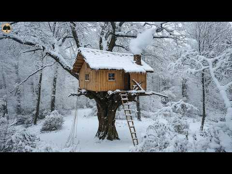 Building Two Houses in the Forest – One on the Ground, One Floating in the Trees!