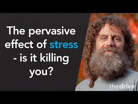 #51 – Robert Sapolsky, Ph.D.: The pervasive effect of stress – is it killing you?