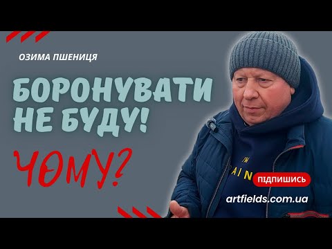 💥КОЛИ НЕ ПОТРІБНО БОРОНУВАТИ 🚜 озиму ПШЕНИЦЮ🌾?