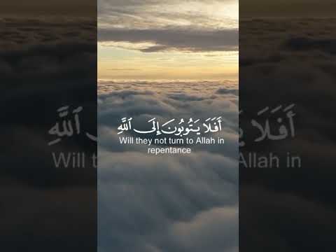 يا حي يا قيوم برحمتك التي وسعت كل شيء استغيث اللهم صل على نبينا محمد #قران_كريم