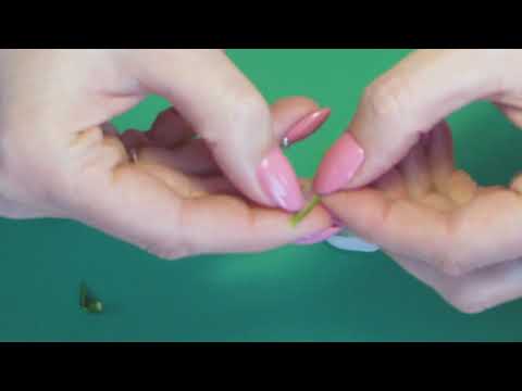 Разбор подснежника