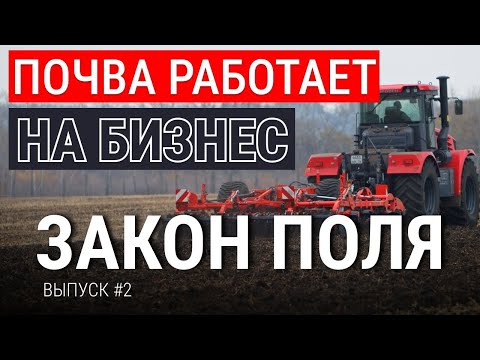 Топ приемов для здоровой почвы | Прибыльные культуры | Полевой севооборот | Агротехнология